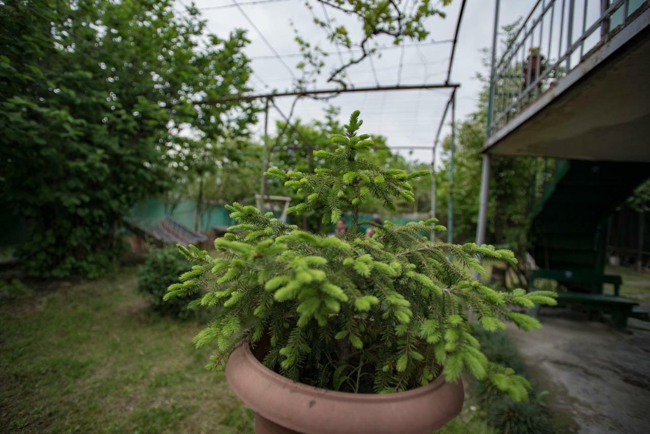 Zandukeli Inn Telawi Zewnętrze zdjęcie